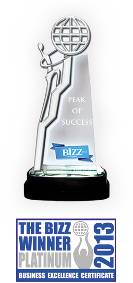 The Bizz Winner Platinum 2013